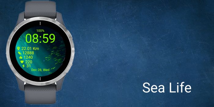 Sea Life · Screenshot 0