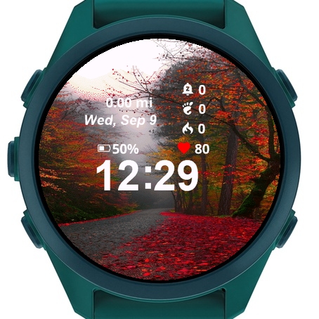 View Road Covered Red Leaves · Screenshot 2