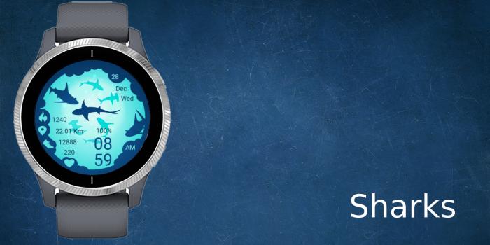 Sharks · Screenshot 0