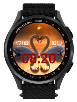 Swan Heart 3