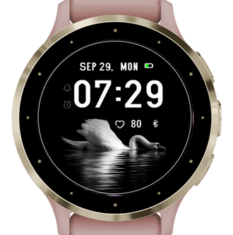 White Swan · Screenshot 2