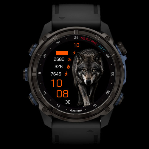 Night Wolf · Screenshot 1