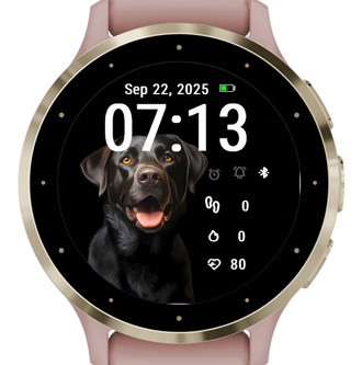 Black Dog · Screenshot 3