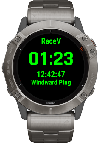 RaceV · Screenshot 3