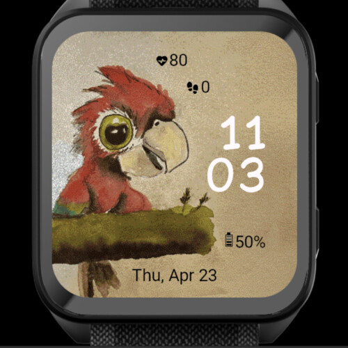Funny Parrot 3