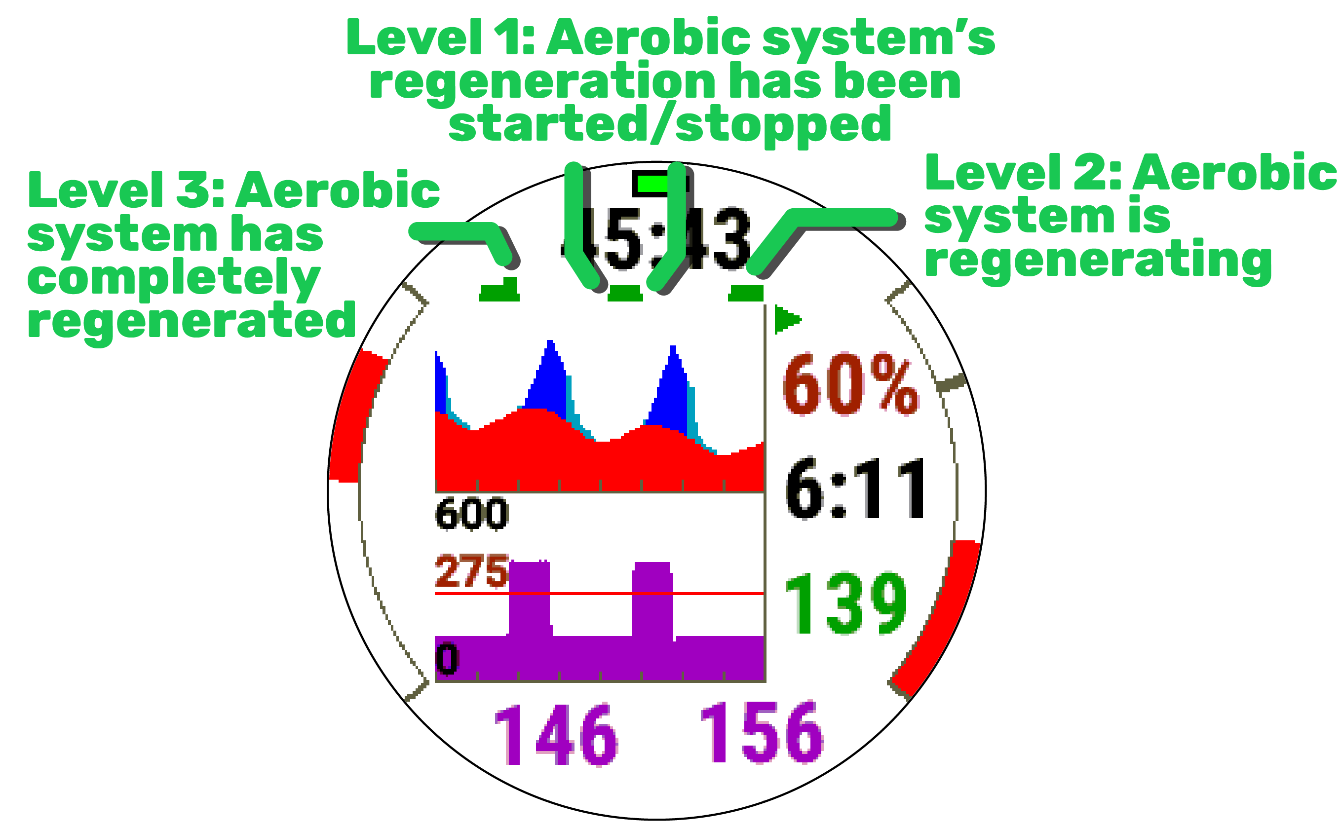 ArguStress Watch Data Field · Screenshot 3