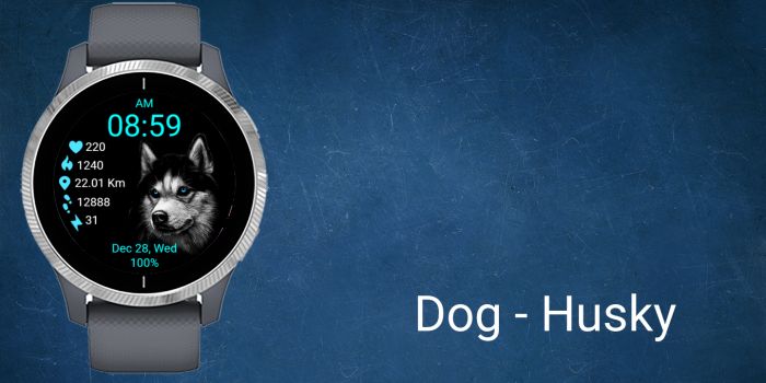 Dog - Husky · Screenshot 0