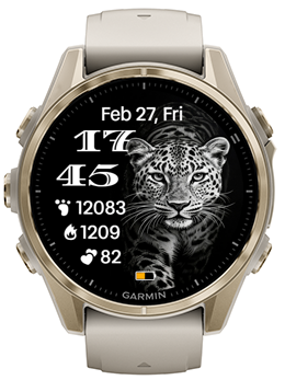 Leopard Two · Screenshot 1
