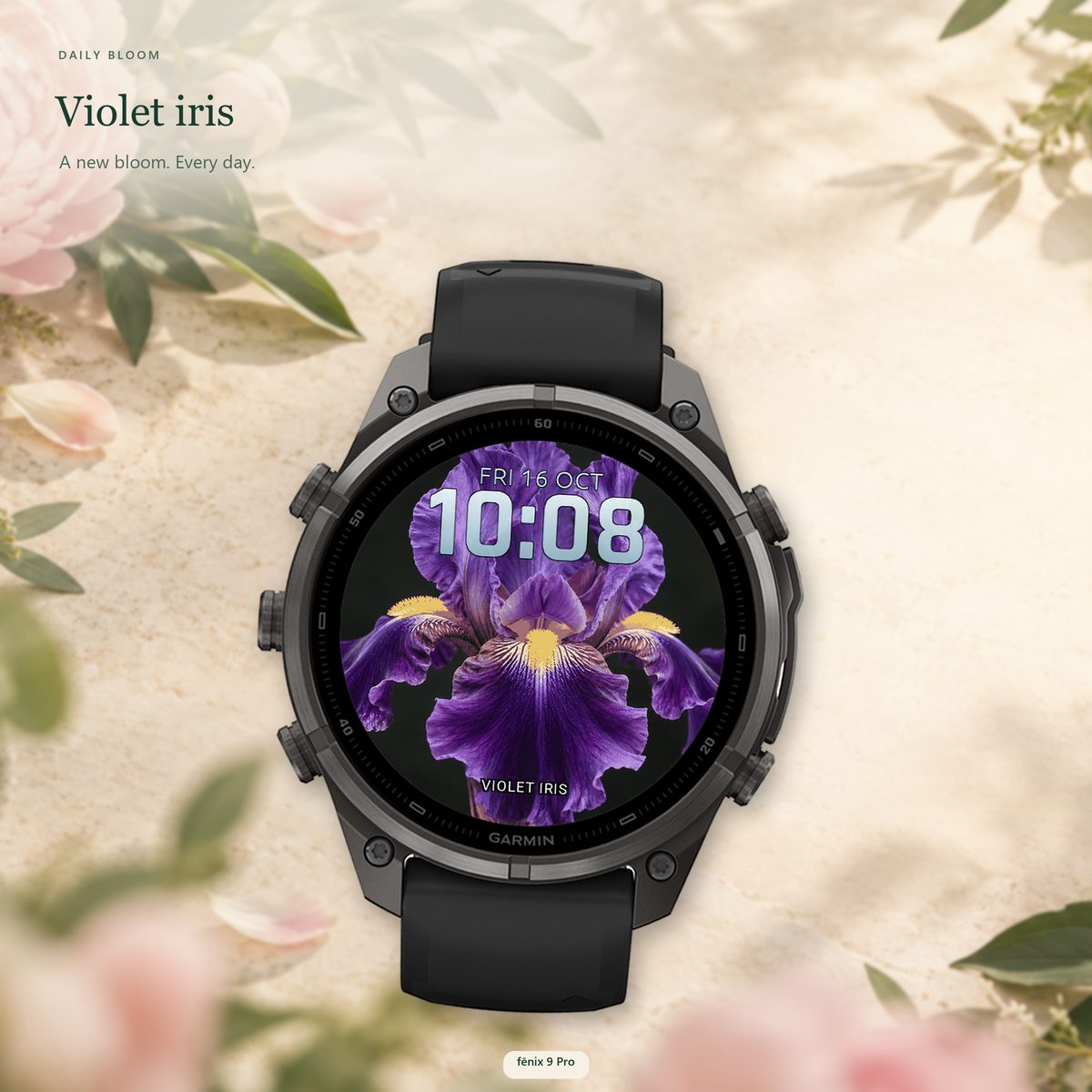 Daily Bloom · Snímek obrazovky 3