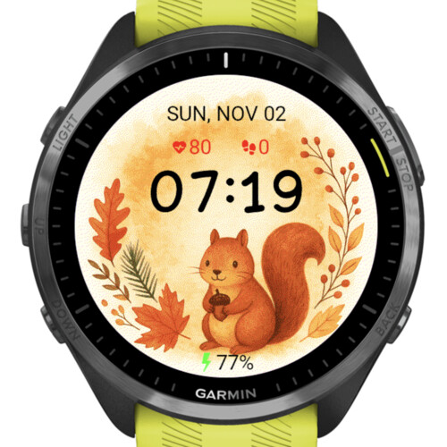 Autumn Squirrel – Cozy Forest · Screenshot 1