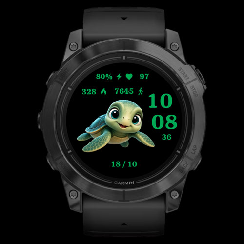 Tiny Turtle · Screenshot 0