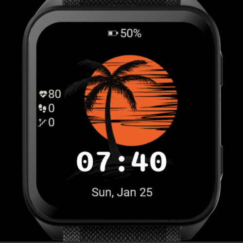Sunset Palm 4