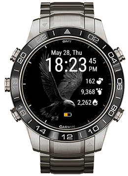 Midnight Eagle · Screenshot 0