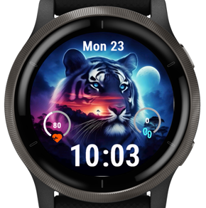 Echo Tiger · Screenshot 3