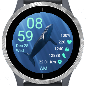 Whale · Screenshot 4
