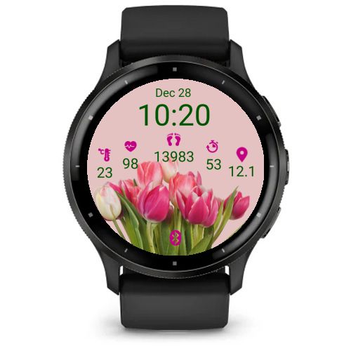 Pink Spring Tulips  4