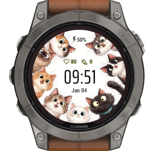 Cats Circle · Screenshot 0