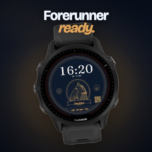 Stirra Stutbuch — Watch Face · Screenshot 4