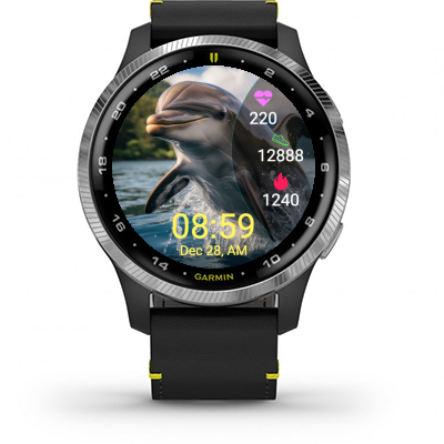 Dolphin · Screenshot 0