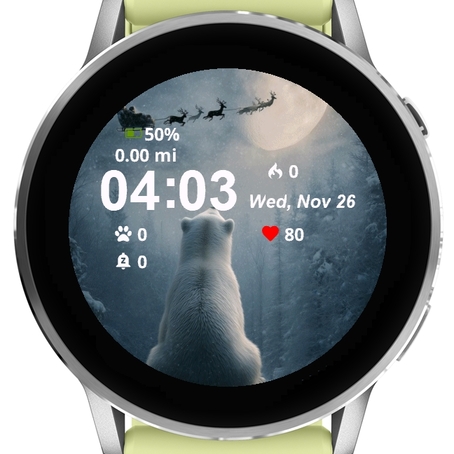 Polar Bear · Screenshot 0