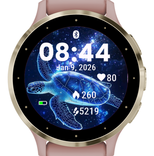 Stellar Turtle · Screenshot 3