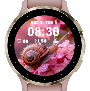 Pink Snail · Screenshot 3