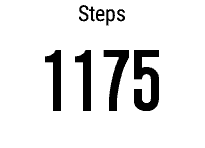 Step Session and Goal Recorder [hSteps] · Screenshot 0