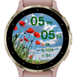 Poppy Sky 4