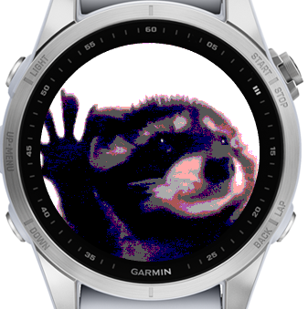 Pedro Pedro Racoon · Screenshot 3