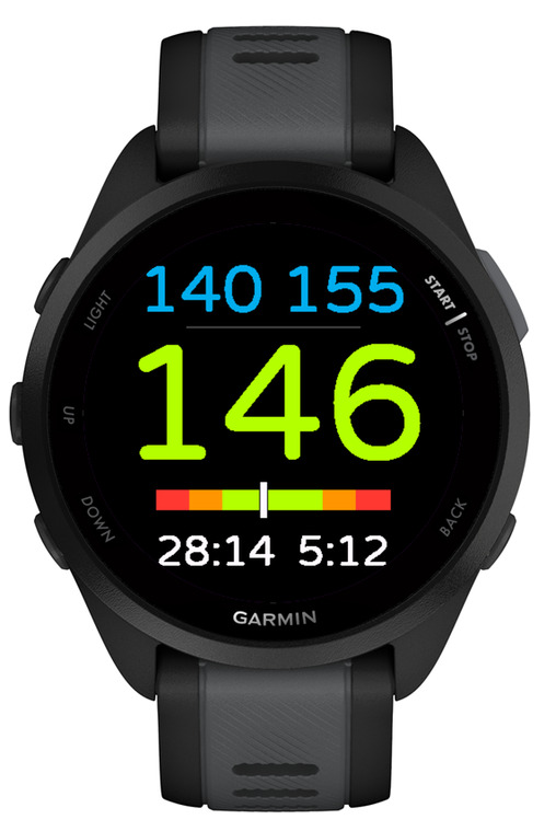 Easy BPM Running — Heart Rate Zone Runner · Screenshot 0