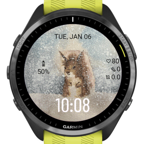 Winter Squirrel Watercolor · Screenshot 1