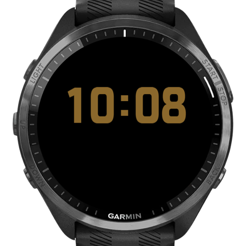 The Watch 3