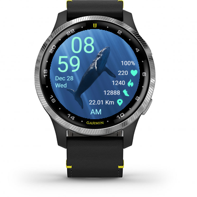 Whale · Screenshot 1