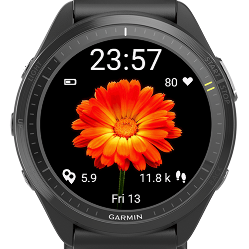 Solar Flame Flower G · Screenshot 2