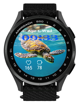 Big Turtle · Screenshot 3