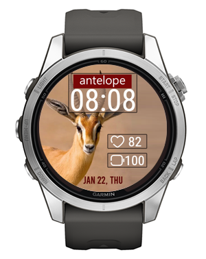 Beautiful Antelope · Screenshot 1