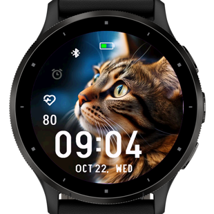 Tabby Cat · Screenshot 2