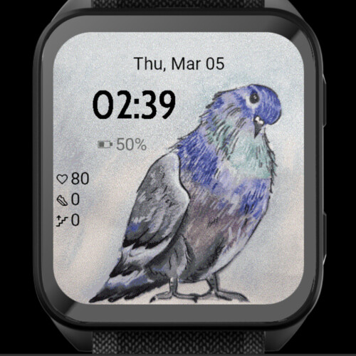 Watercolor Pigeon 3