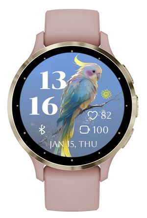 Pretty Parrot · Screenshot 3