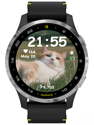 Lying cat · Screenshot 1