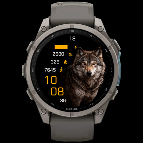 Alpha Wolf · Screenshot 4
