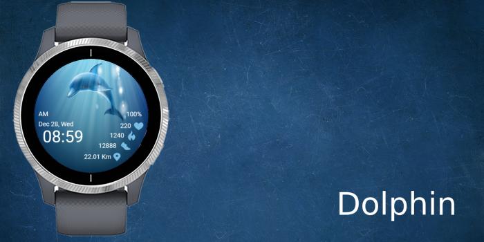 Dolphin · Screenshot 0