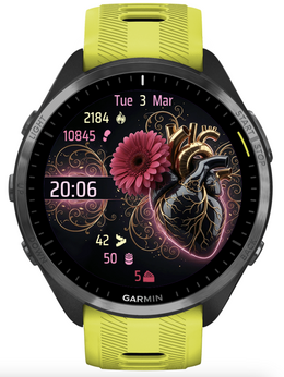 Heart 2 2