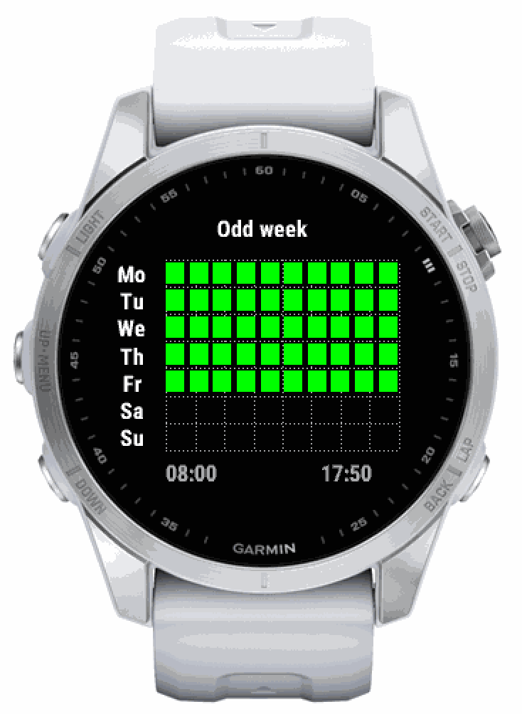 Wrist Timetable 4