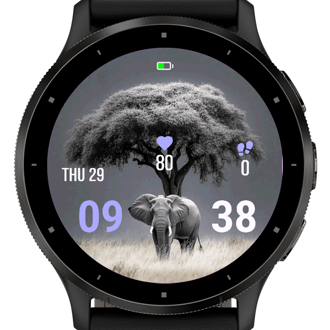 Safari Icon · Screenshot 1