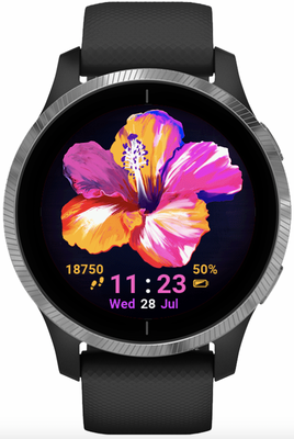 Hibiscus · Screenshot 2