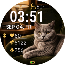 British Shorthair Library · Screenshot 1
