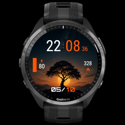 Lone Tree · Screenshot 3