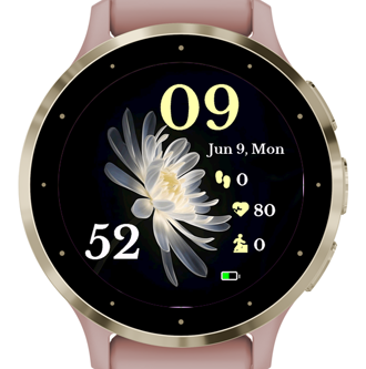Pale Petals · Screenshot 0