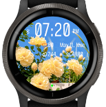 Sunny Petal · Screenshot 3